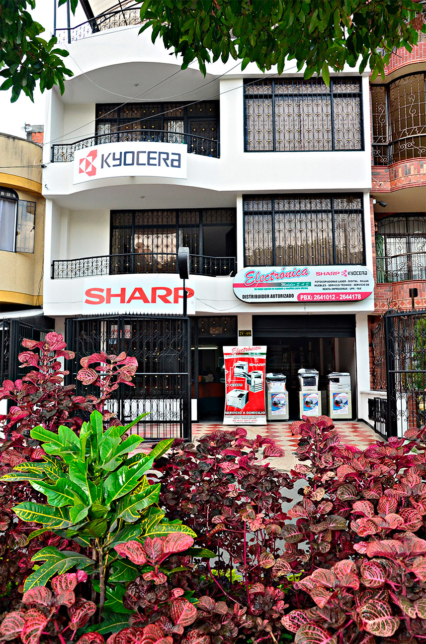 Sede Electrónica Modular SAS en Ibague